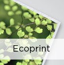Ecoprint