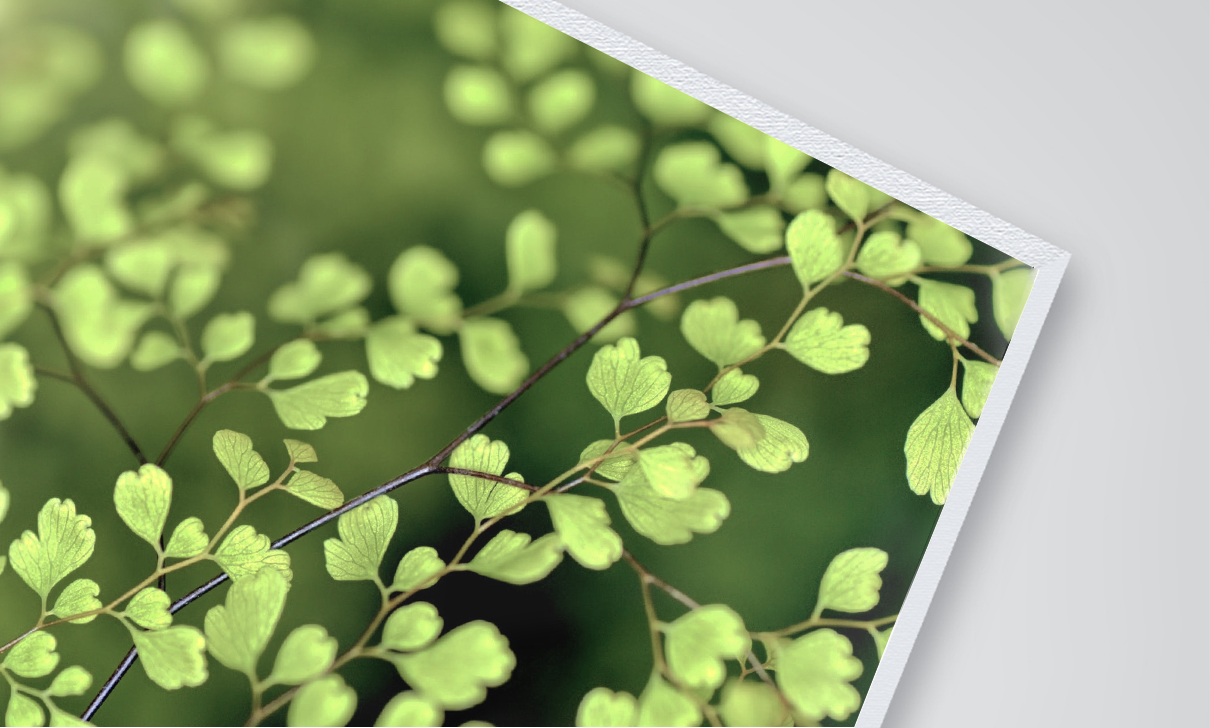 Ecoprint